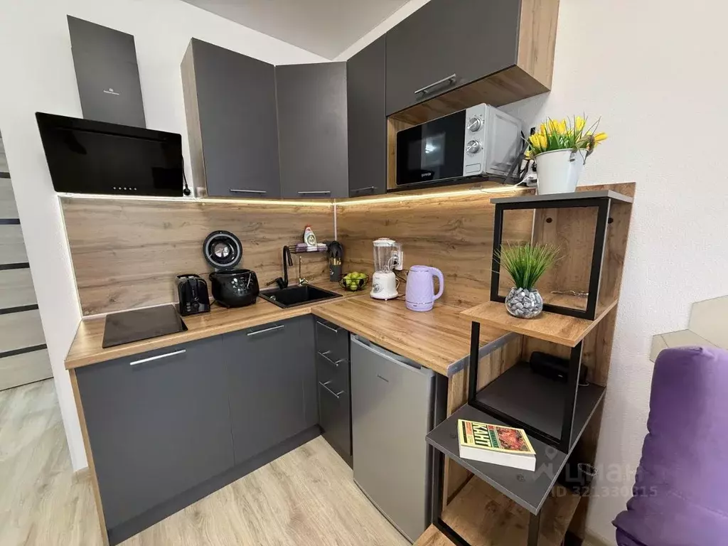 Студия Крым, Сакский район, с. Фрунзе ул. Мира, 27А (27.0 м) - Фото 2