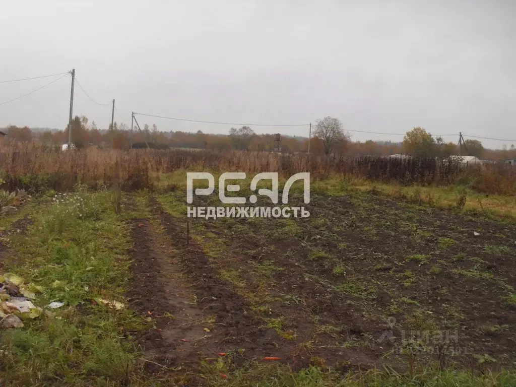 Участок в Ленинградская область, Волосовский район, Большеврудское ... - Фото 2