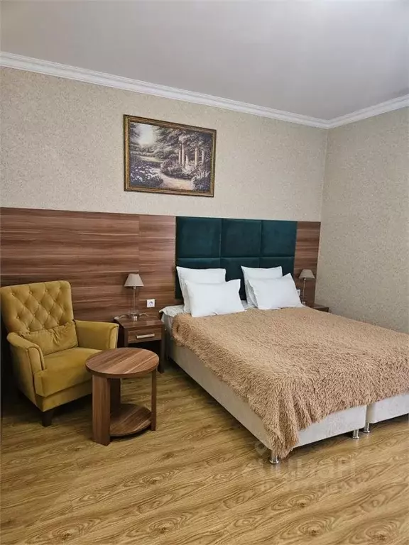 Комната Краснодарский край, Сочи городской округ, Дагомыс пгт ул. ... - Фото 1