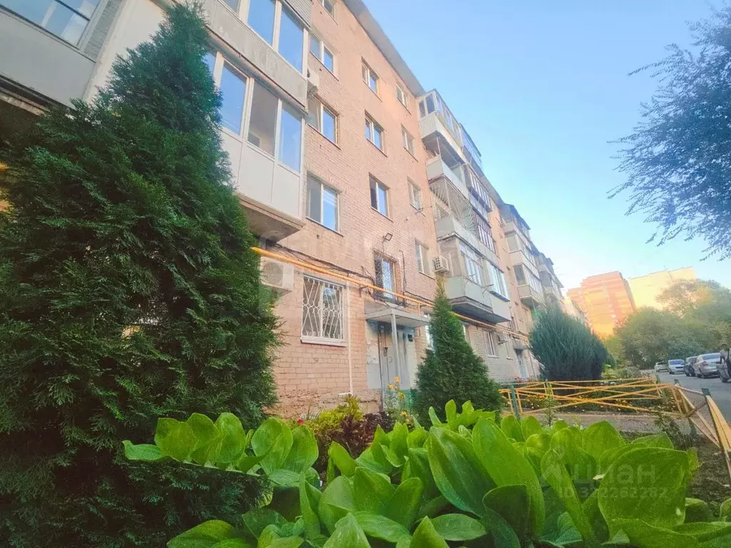 1-к кв. Оренбургская область, Оренбург ул. Орджоникидзе, 72 (32.5 м) - Фото 1