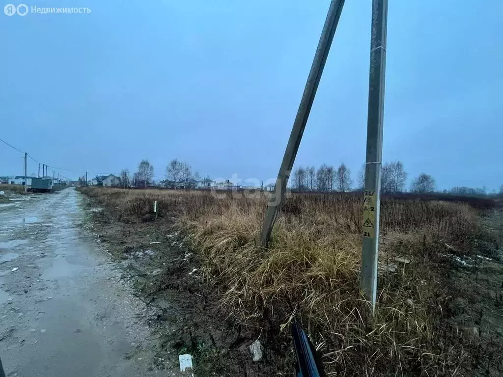 Участок в Калининградская область, Гурьевский муниципальный округ, ... - Фото 1