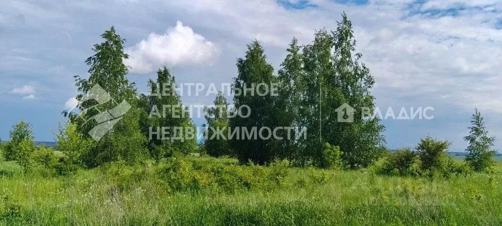 Участок в Рязанская область, Рязанский муниципальный округ, д. Рожок  ... - Фото 2
