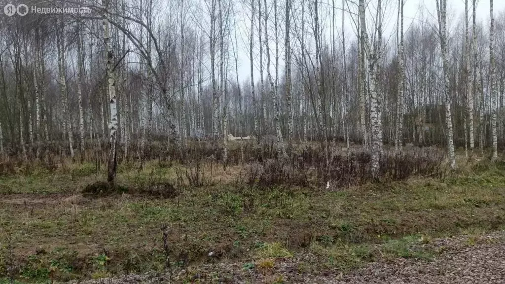 Участок в Московская область, муниципальный округ Чехов, деревня ... - Фото 1