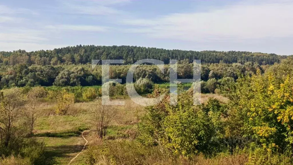 Участок в Тульская область, Алексин городской округ, с. Бунырево  ... - Фото 1