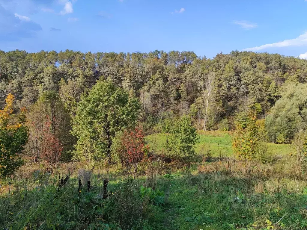 Дом в Башкортостан, Иглинский район, Акбердинский сельсовет, Ромашка ... - Фото 1