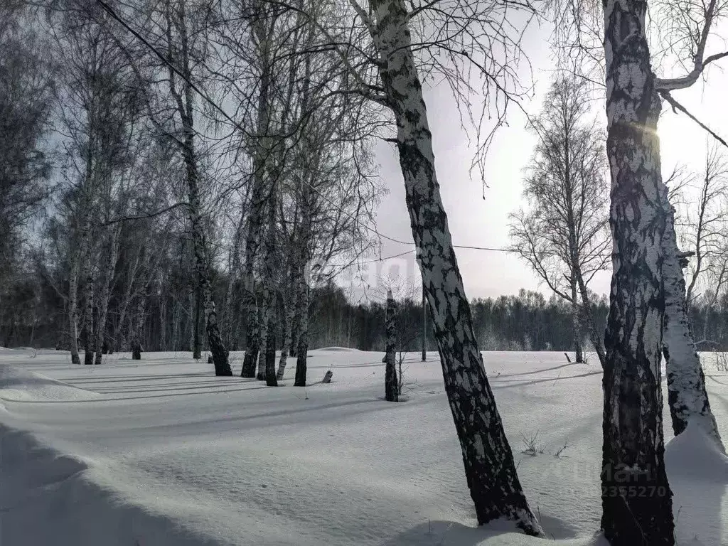 Участок в Челябинская область, Сосновский район, пос. Полетаево  (10.0 ... - Фото 1