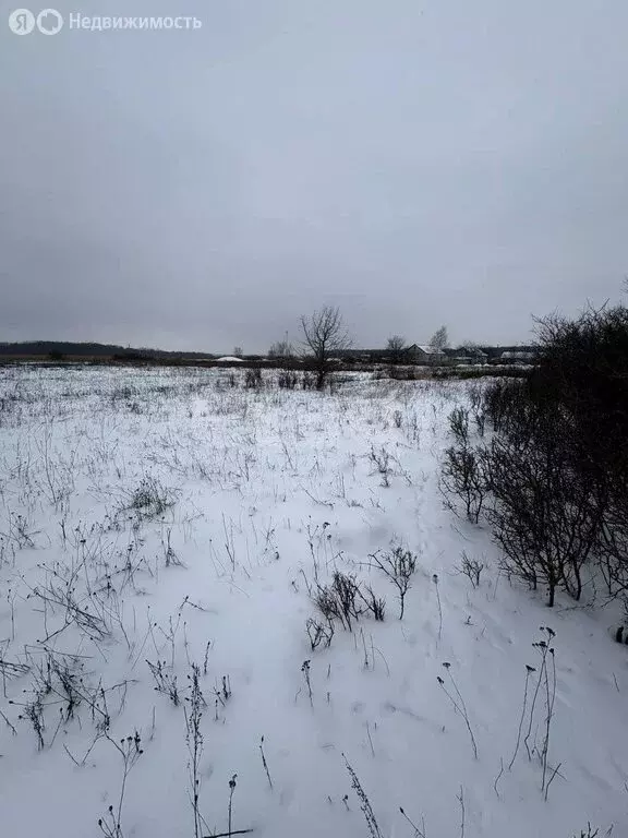 Участок в Саратовская область, Калининск (9 м) - Фото 2