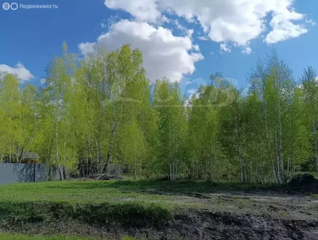 Участок в село Перевалово, коттеджный посёлок Родники (19.8 м) - Фото 1