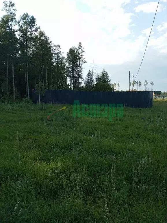 Участок в Забайкальский край, Читинский муниципальный округ, село ... - Фото 2