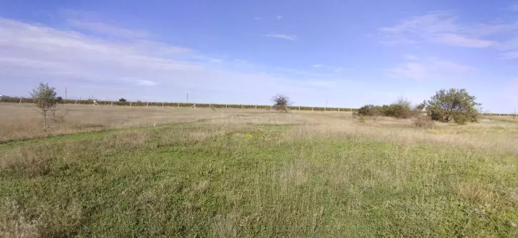 Участок в Севастополь с. Полюшко, ул. Полевая (7.5 сот.) - Фото 1