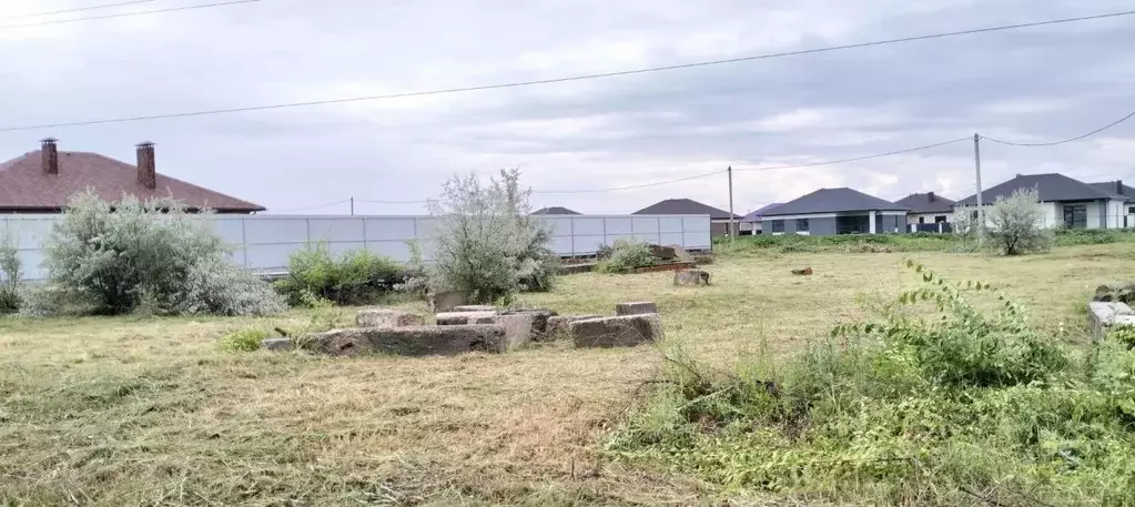 Участок в Саратовская область, Энгельсский район, Новопушкинское ... - Фото 0