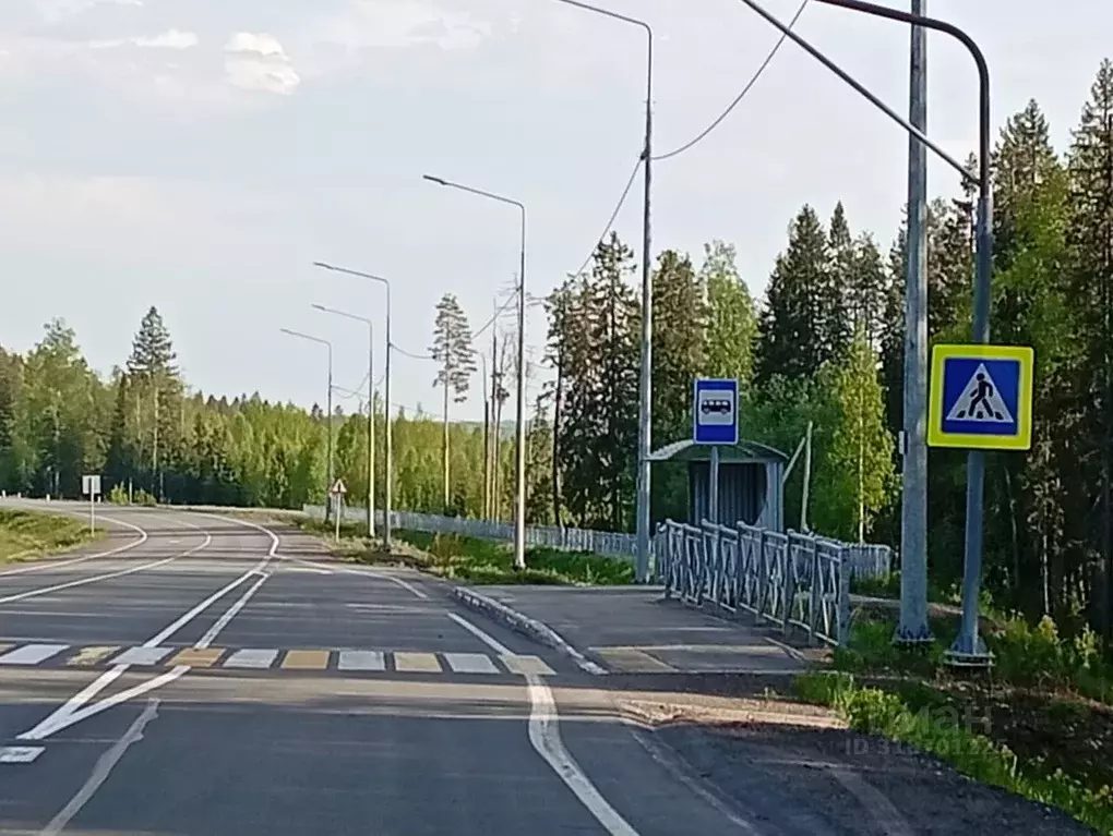 Участок в Карелия, Прионежский район, Деревянское с/пос, Онежец-4 СНТ ... - Фото 1