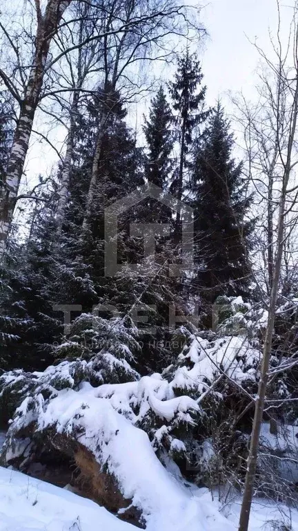 Участок в Санкт-Петербург пос. Левашово, Садовая ул. (19.0 сот.) - Фото 0