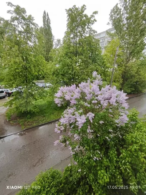 2-к. квартира, 54,5 м, 2/5 эт. - Фото 1