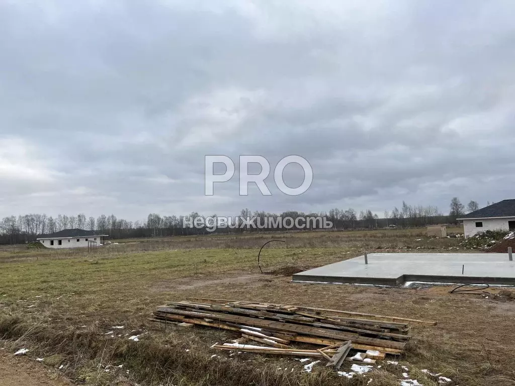 Участок в Ярославская область, Ярославский муниципальный округ, ... - Фото 1