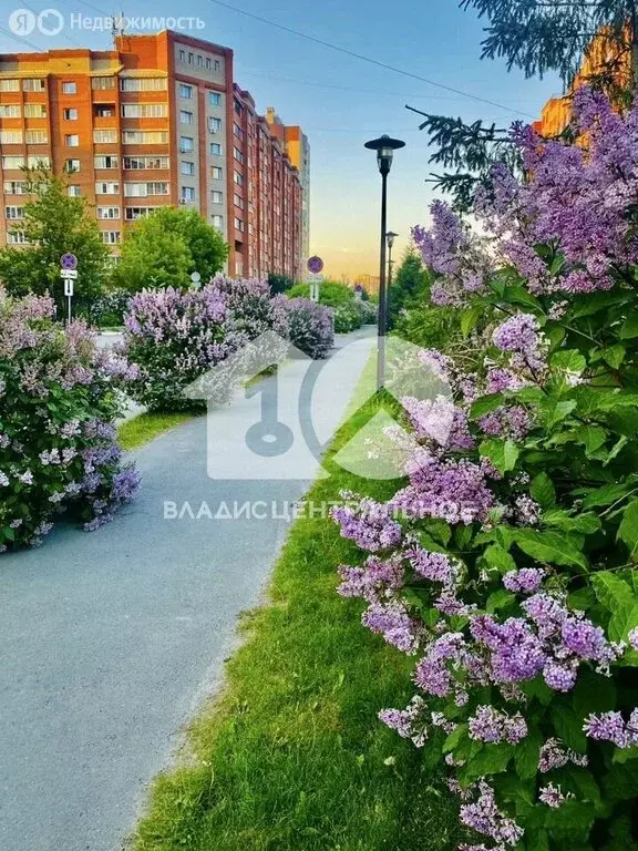 2-комнатная квартира: Новосибирск, Ельцовская улица, 4/1 (56 м) - Фото 1