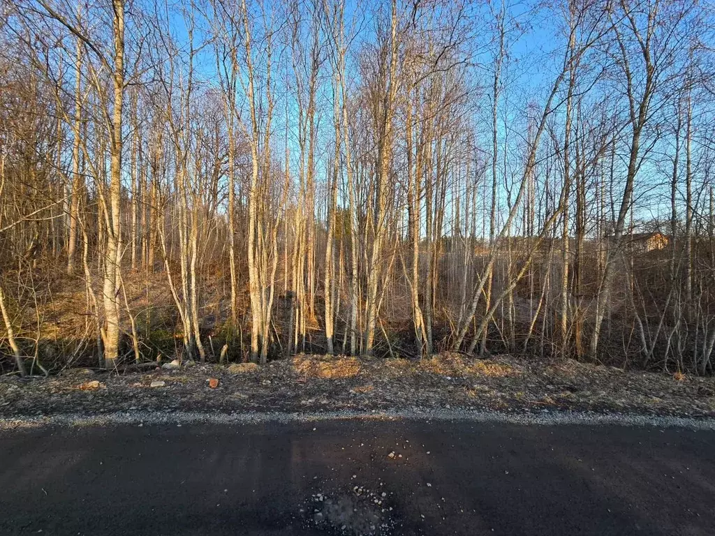 Участок 8 сот. (СНТ, ДНП) - Фото 0