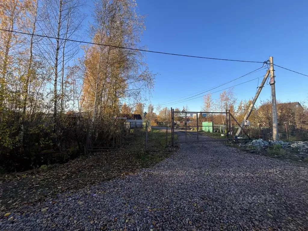 Участок в Санкт-Петербург Сергиево тер., ул. Красная (5.3 сот.) - Фото 2