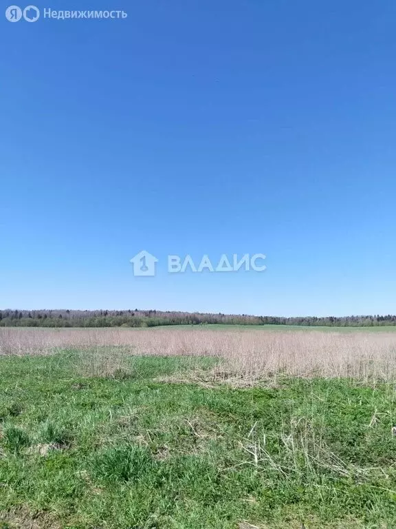 Участок в Вологодский муниципальный округ, посёлок Фетинино, ... - Фото 0