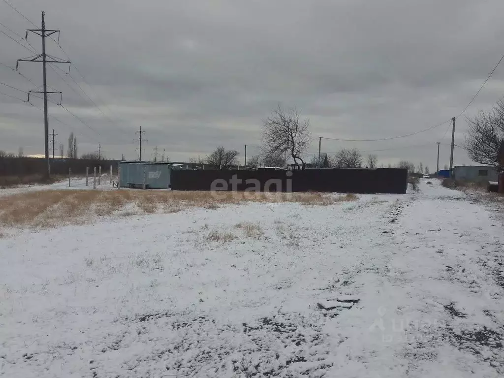 Участок в Белгородская область, Белгородский район, Разумное рп, ... - Фото 1