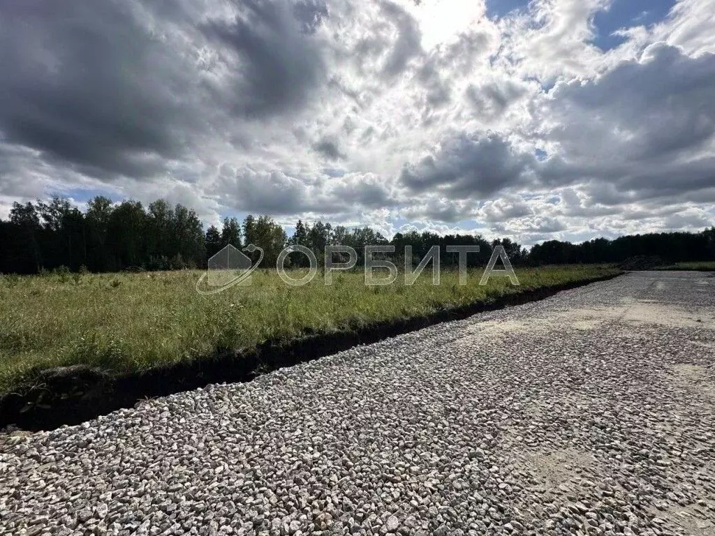 Участок в Тюменская область, Тюменский муниципальный округ, д. Ушакова ... - Фото 2