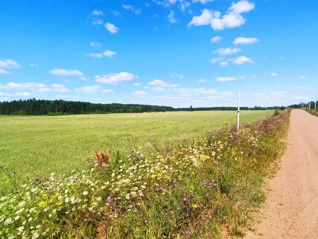 Участок в Кировская область, Слободской район, Ленинское с/пос, д. ... - Фото 1