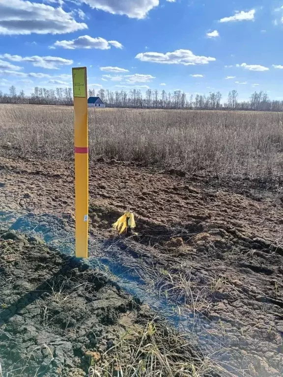 Участок в Тамбовская область, Тамбовский муниципальный округ, д. ... - Фото 1