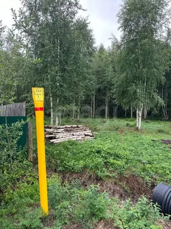 Участок в Кировская область, Киров Марковское СДТ, 7 (8.05 сот.) - Фото 1