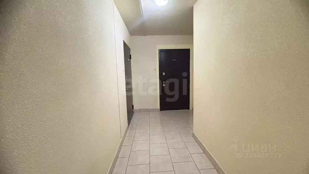 Студия Воронежская область, Воронеж Ростовская ул., 61 (25.0 м) - Фото 2