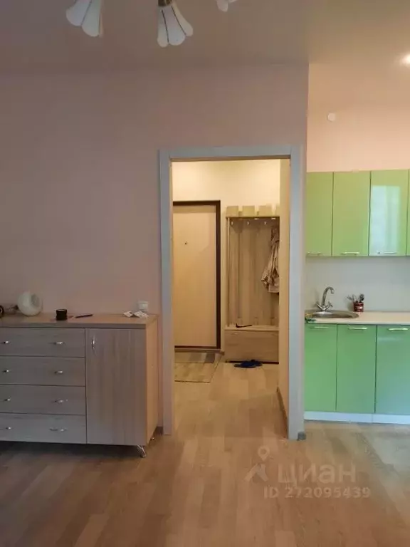 Студия Ленинградская область, Тельмана Тосненский район, ул. Онежская, ... - Фото 2