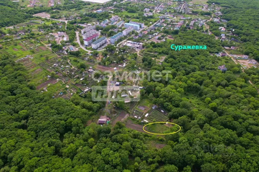 Участок в Приморский край, Артемовский городской округ, с. Суражевка ... - Фото 1
