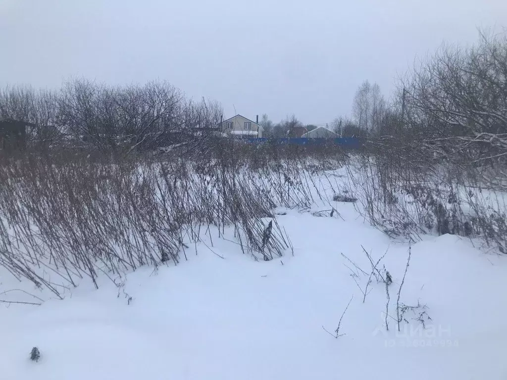 Участок в Московская область, Зарайск Зарайск муниципальный округ, ул. ... - Фото 1
