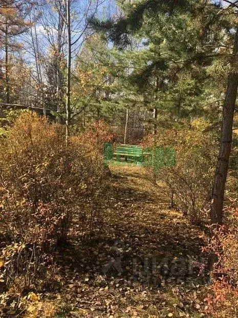 Участок в Забайкальский край, Читинский район, Песчанские Лужки СНТ  ... - Фото 1