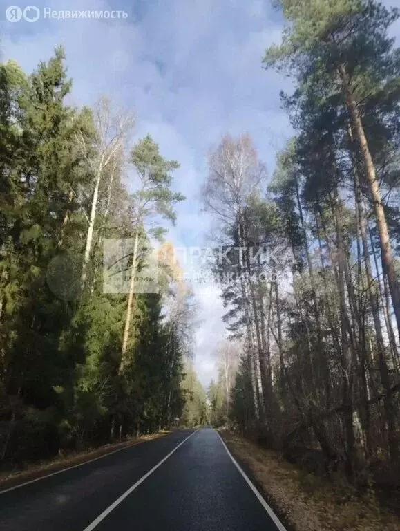 Участок в деревня Шевёлкино, улица Большая Полянка, 5 (8 м) - Фото 2