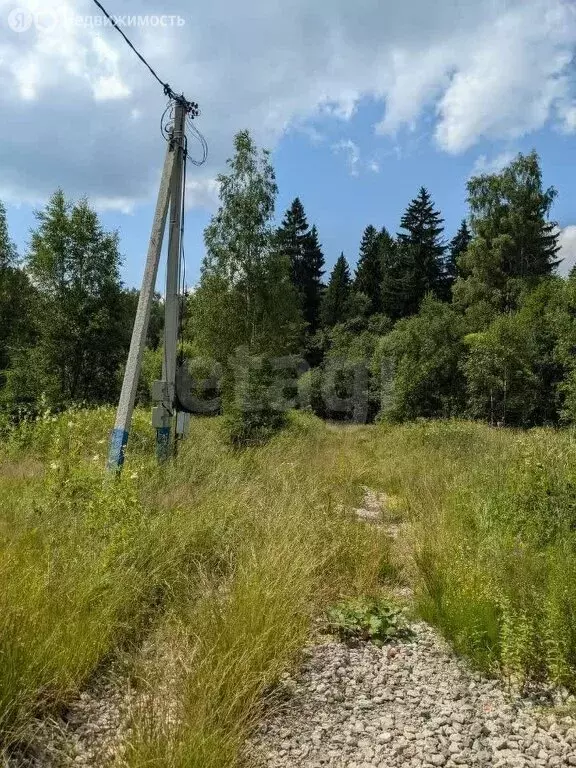 Участок в Московская область, городской округ Солнечногорск, садовое ... - Фото 0