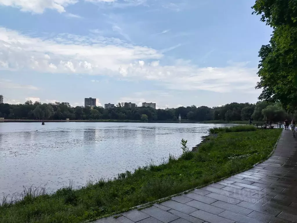 2-к кв. Москва Кронштадтский бул., 39К1 (45.0 м) - Фото 2