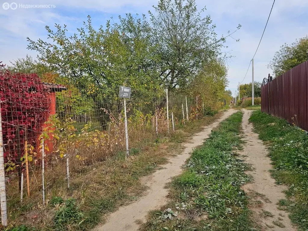 Участок в посёлок Мичуринский, СДТ Надежда, 254 (6 м) - Фото 1