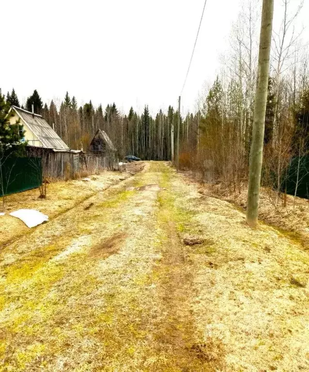 Участок в Коми, Сыктывдинский район, с. Выльгорт, Клен СТ 9 (10.0 ... - Фото 1