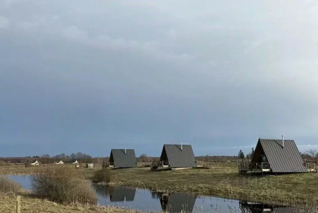 Участок в Калининградская область, Зеленоградский муниципальный округ, ... - Фото 1