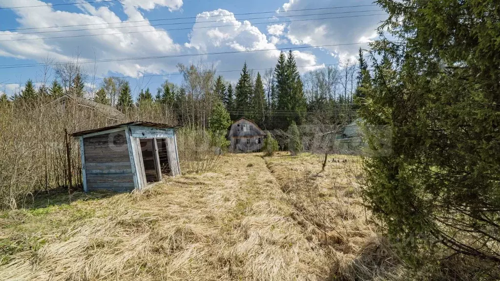 Участок в Москва Пахра садовое товарищество, 327 (6.0 сот.) - Фото 1