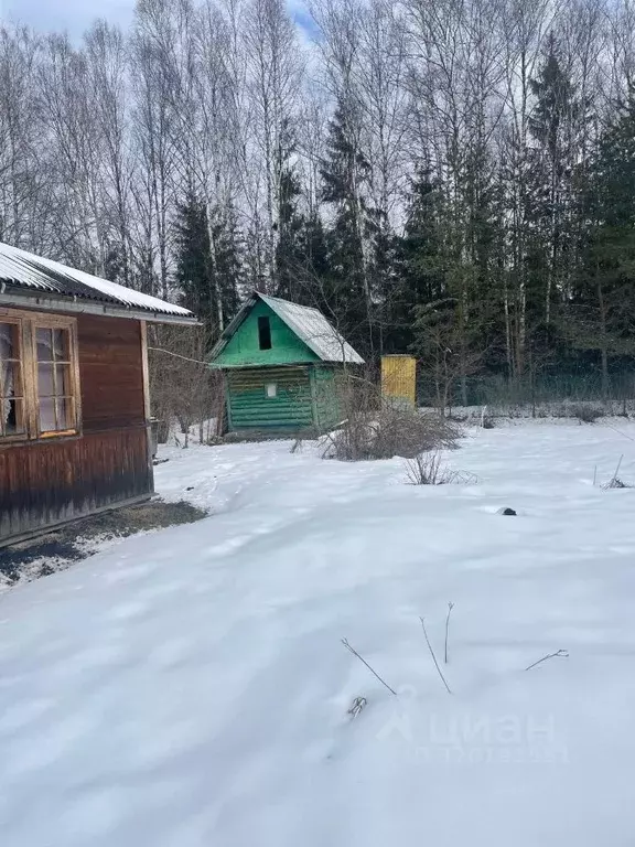Дом в Ленинградская область, Гатчинский муниципальный округ, Ухта ... - Фото 1