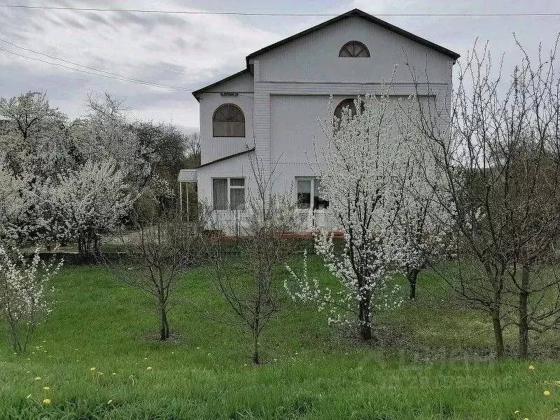 Дом в Белгородская область, Вейделевский район, с. Белый Колодезь ул. ... - Фото 0