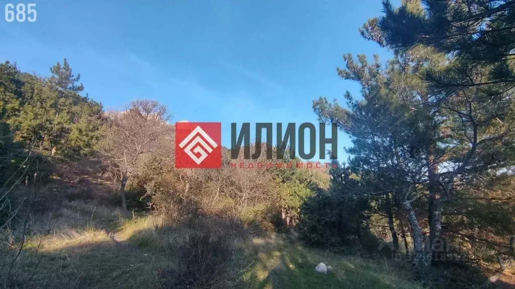 Участок в Крым, Алупка ш. Севастопольское, 52 (10.0 сот.) - Фото 2