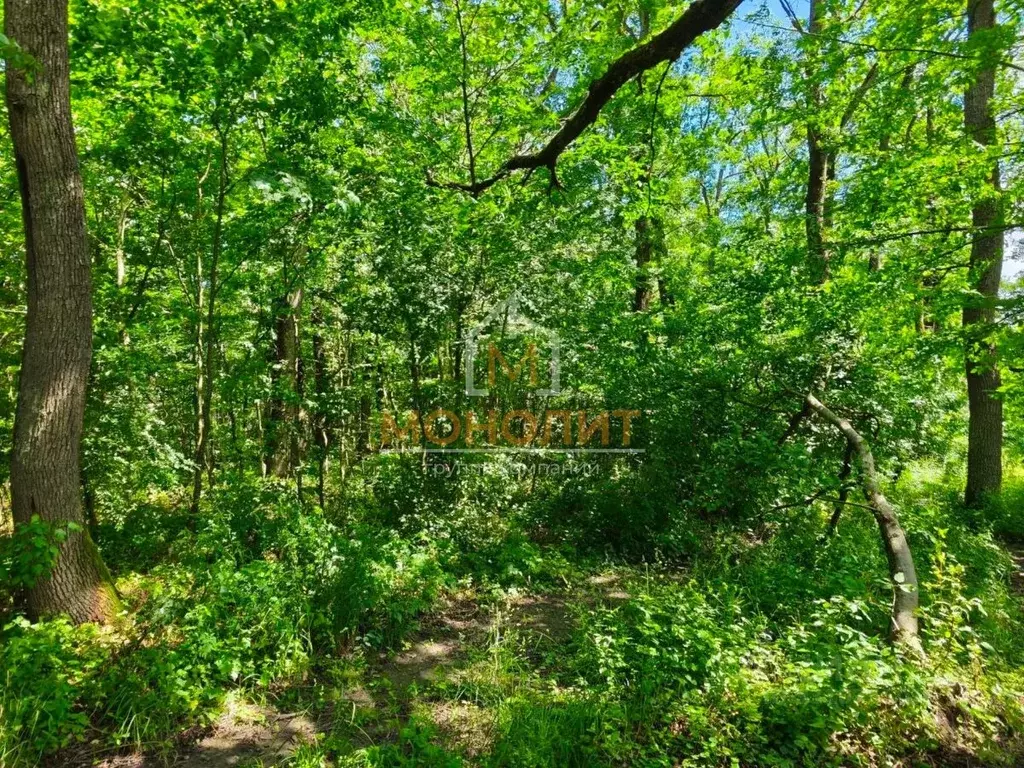 Участок в Краснодарский край, Горячий Ключ Парковая ул. (7.4 сот.) - Фото 2