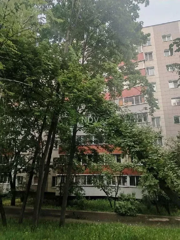 Продается 1-комнатная квартира - Фото 2