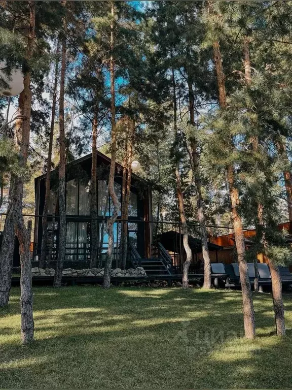 Участок в Московская область, Звенигород Одинцовский городской округ, ... - Фото 2