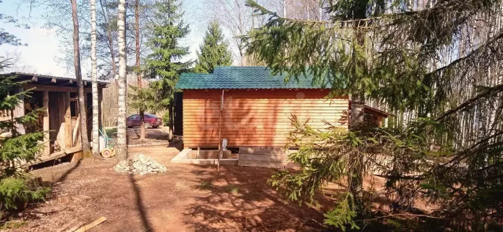 Участок в Новгородская область, Демянский муниципальный округ, д. ... - Фото 1