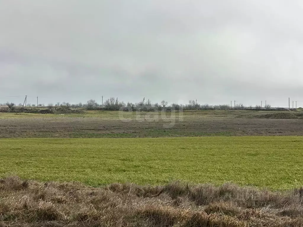 Участок в Крым, Ленинский район, Луговское с/пос, с. Ерофеево ул. ... - Фото 1