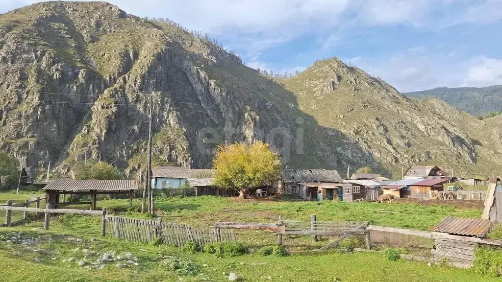 Участок в Алтай, Усть-Коксинский район, с. Тюнгур Набережная ул., 9 ... - Фото 1