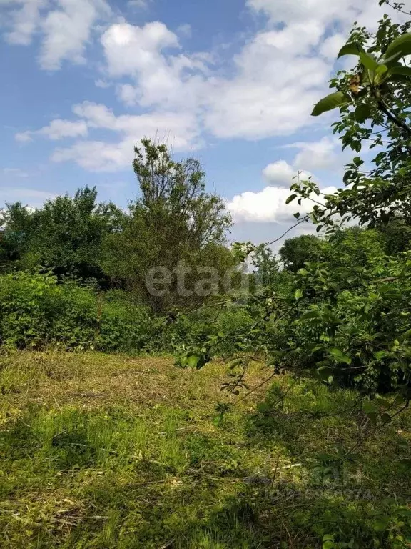 Участок в Белгородская область, Валуйки ул. Поднизовка (6.0 сот.) - Фото 0